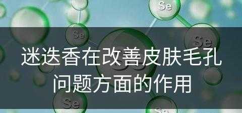 迷迭香在改善皮肤毛孔问题方面的作用